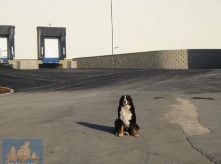 Pronájem skladovací prostor, 1 762 m²