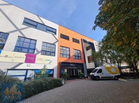 Pronájem obchodní prostory, 55 m²