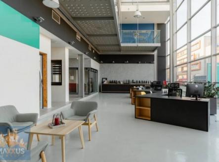 Pronájem obchodní prostor, 1 000 m²