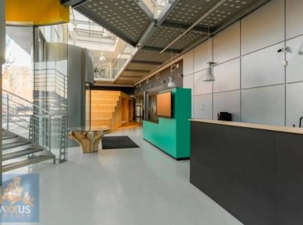 Pronájem obchodní prostor, 1 000 m²