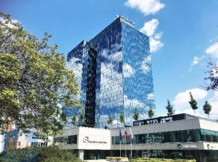 Pronájem kanceláře, 221 m²