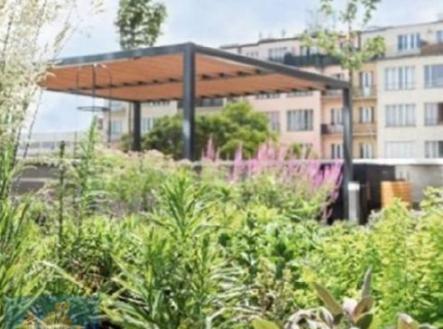 Pronájem kanceláře, 221 m²