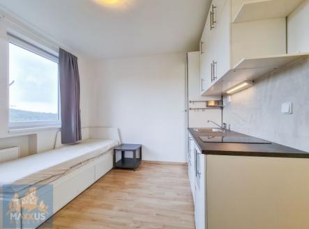 Pronájem bytu, 1+kk, 17 m²