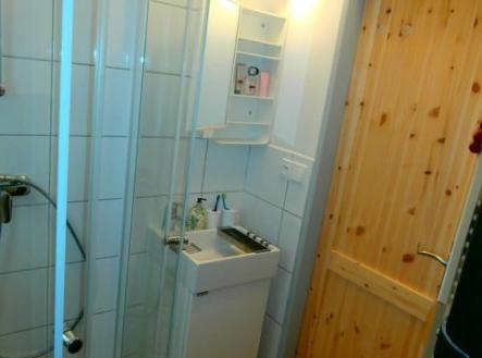 Pronájem bytu, 1+kk, 25 m²
