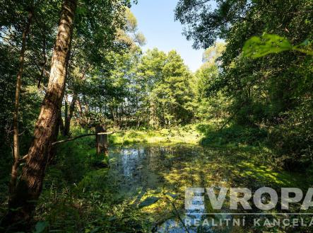 Prodej - pozemek pro komerční výstavbu, 10 136 m²