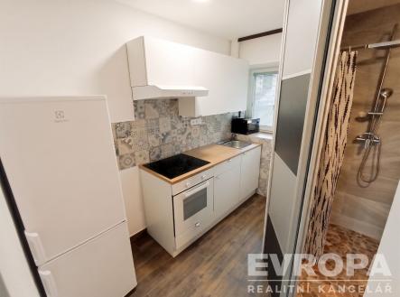 Pronájem bytu, 1+1, 26 m²