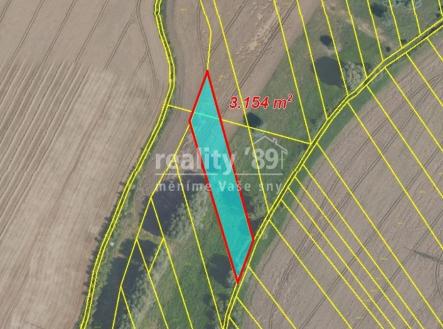 Prodej - pozemek, zemědělská půda, 12 885 m²