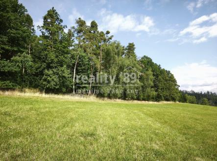 Prodej - pozemek, zemědělská půda, 27 446 m²