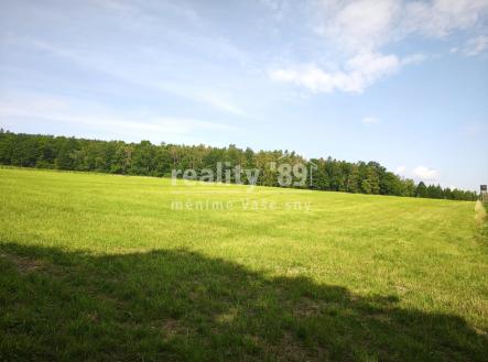 Prodej - pozemek, zemědělská půda, 27 446 m²