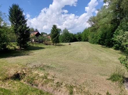 Prodej - pozemek, trvalý travní porost, 5 311 m²