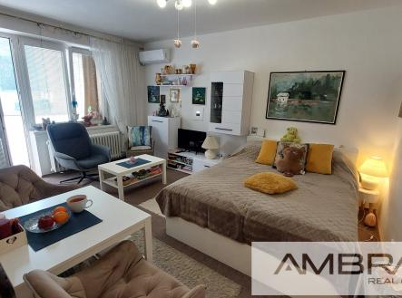 Prodej bytu, 1+kk, 24 m²