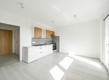 Pronájem bytu, 1+kk, 35 m²