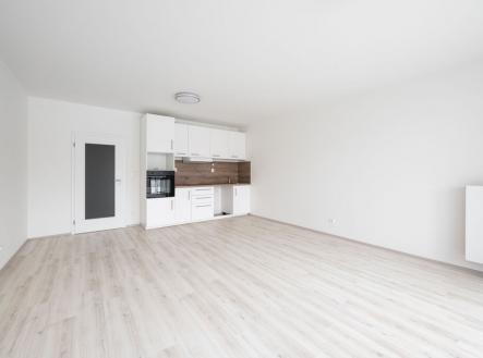 Pronájem bytu, 1+kk, 66 m²