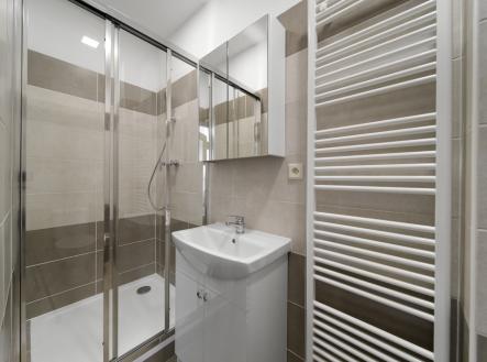 Pronájem bytu, 1+1, 50 m²