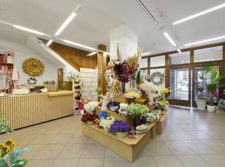 Prodej nájemního domu, 606 m²