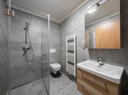 Pronájem bytu, 1+1, 47 m²