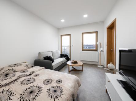 Pronájem bytu, 1+1, 47 m²