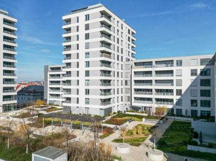 Pronájem bytu, 1+kk, 31 m²