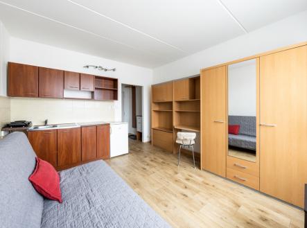Pronájem bytu, 1+kk, 20 m²