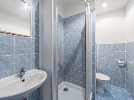 Pronájem bytu, 1+kk, 20 m²