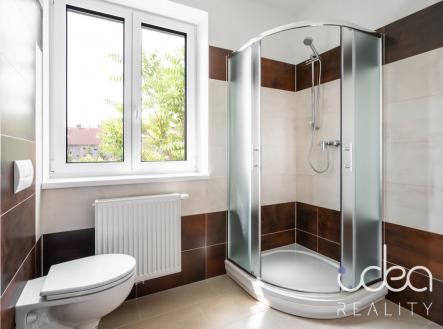 Pronájem bytu, 1+kk, 24 m²