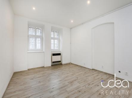 Pronájem bytu, 1+1, 53 m²