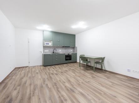 Pronájem bytu, 1+kk, 124 m²