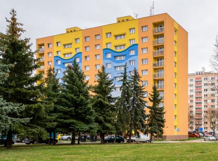 Pronájem bytu, 1+kk, 21 m²