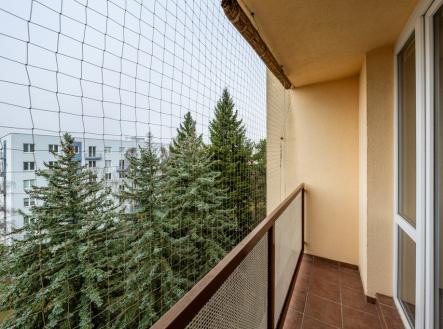 Pronájem bytu, 1+1, 42 m²