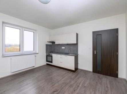 Pronájem bytu, 1+kk, 22 m²