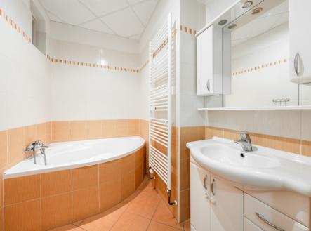 Pronájem bytu, 1+1, 55 m²