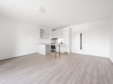 Pronájem bytu, 1+kk, 47 m²