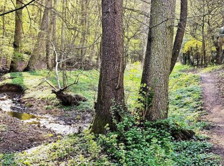 Prodej chaty/rekreačního objektu, 24 m²