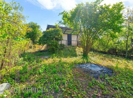 Prodej pozemku, zahrada, 1 746 m²