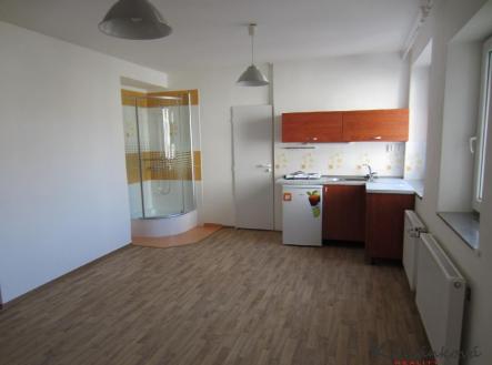 Pronájem bytu, 1+kk, 27 m² obrázek