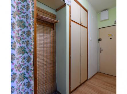 Prodej bytové jednotky 2+1, 55 m2, Mělník