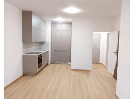 Pronájem bytu, 2+kk, 61 m²