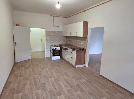 Pronájem bytu, 1+1, 49 m²