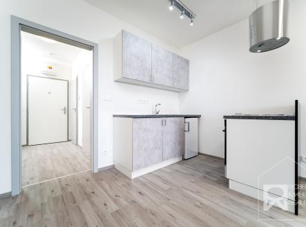 Pronájem bytu, 1+kk, 48 m²