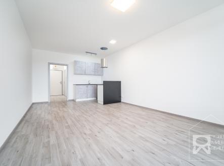 Pronájem bytu, 1+kk, 48 m²