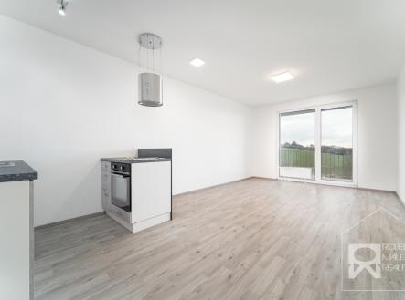 Pronájem bytu, 1+kk, 48 m²