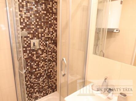 Pronájem bytu, 1+kk, 23 m²