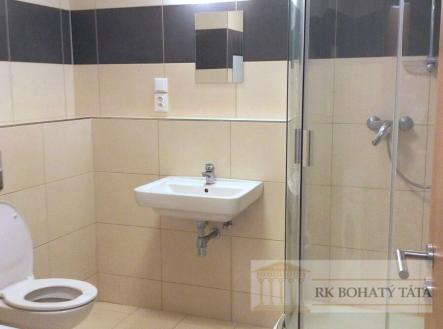 Pronájem bytu, 1+kk, 38 m²