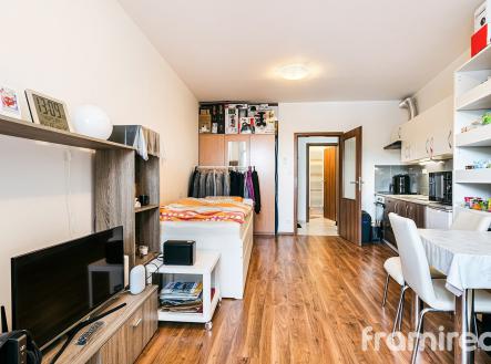 Prodej bytu, 1+kk, 30 m²