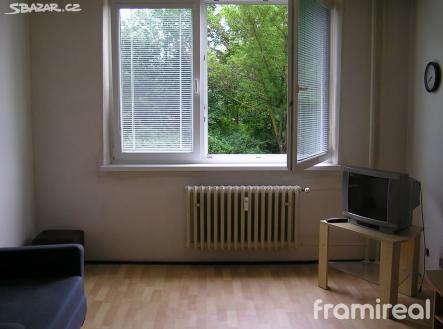 Pronájem bytu, 1+kk, 28 m²