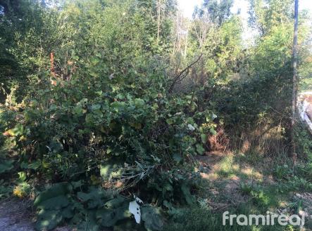 Prodej pozemku, zahrada, 1 358 m²