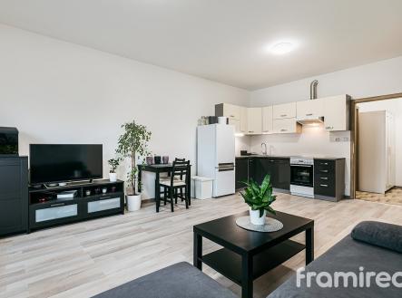 Pronájem bytu, 1+kk, 44 m²