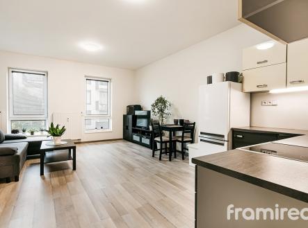 Pronájem bytu, 1+kk, 44 m²