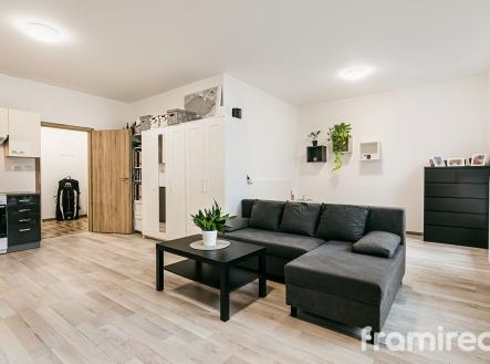 Pronájem bytu, 1+kk, 44 m²