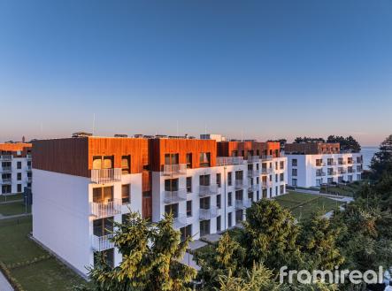 Photo_046
